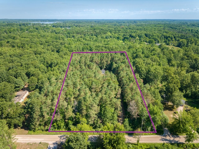 13113 Pinewood St NE, Gowen, MI 49326 - aerial view of property and surrounding area with a forest and property parcel outlined