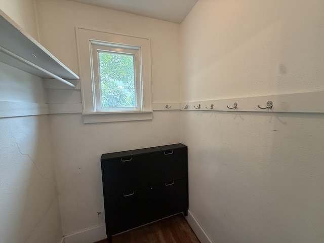 1316 Vassar Dr, Kalamazoo, MI 49001 - walk in closet featuring dark wood-style flooring