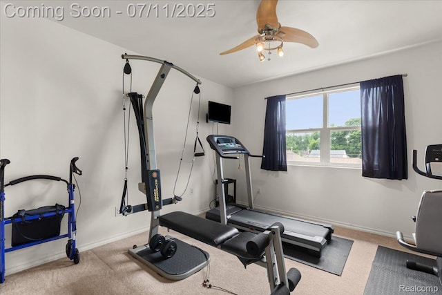 3070 10th St, Monroe, MI 48162 - workout room featuring carpet flooring and a ceiling fan