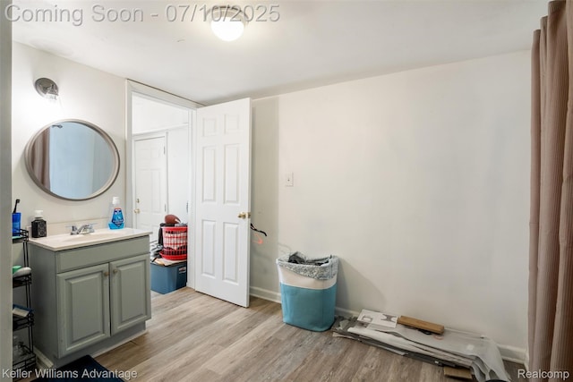 15326 Brookfield St, Livonia, MI 48154 - bathroom featuring wood finished floors and vanity