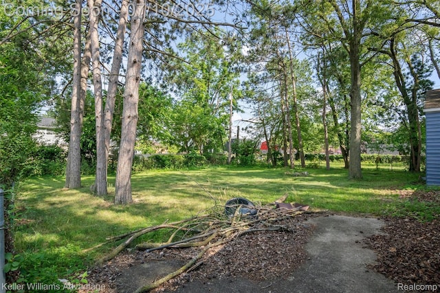 15326 Brookfield St, Livonia, MI 48154 - view of grassy yard