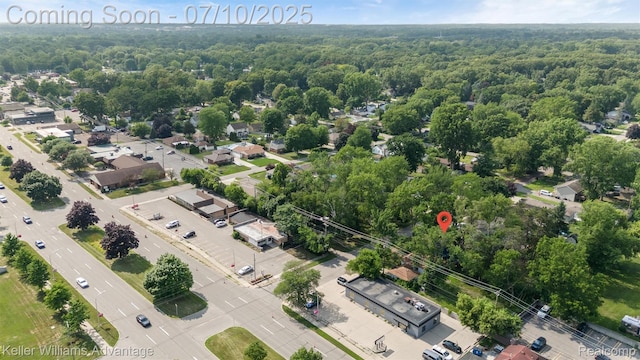 15326 Brookfield St, Livonia, MI 48154 - aerial view of a forest