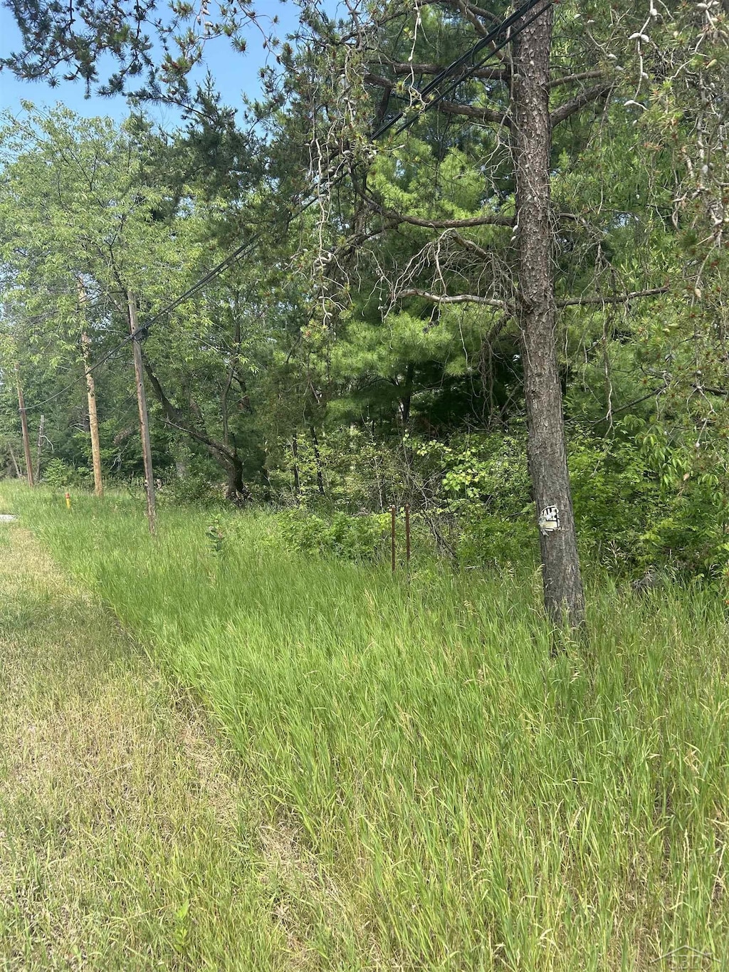 LOT24 Greenwood Rd, Michigan, MI 48610