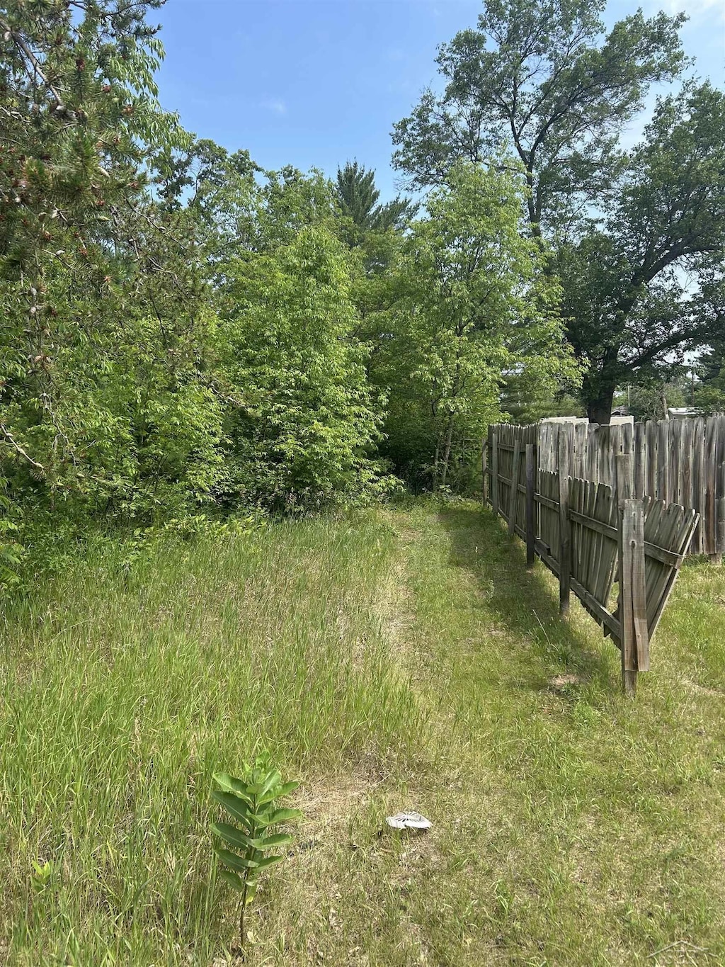 LOT24 Greenwood Rd, Michigan, MI 48610