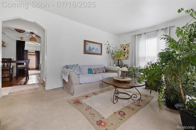 28589 Everett St, Southfield, MI 48076 - carpeted living area with arched walkways