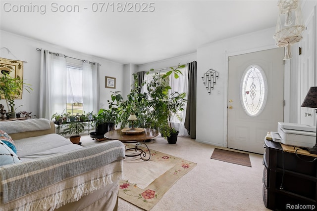 28589 Everett St, Southfield, MI 48076 - carpeted living room featuring healthy amount of natural light and crown molding
