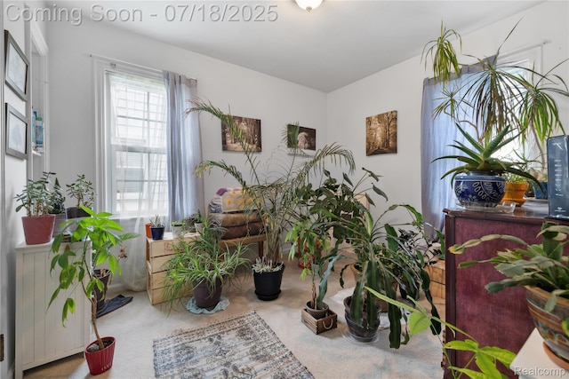 28589 Everett St, Southfield, MI 48076 - sitting room with carpet