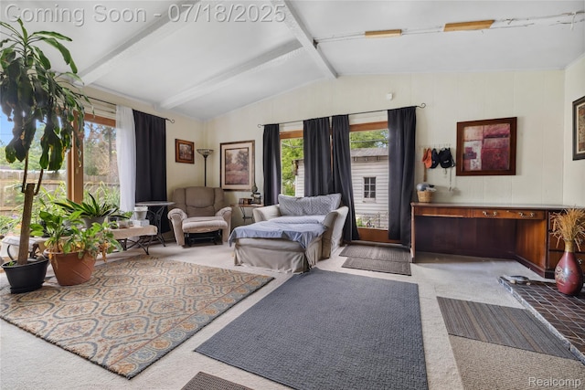 28589 Everett St, Southfield, MI 48076 - living area with carpet flooring and healthy amount of natural light
