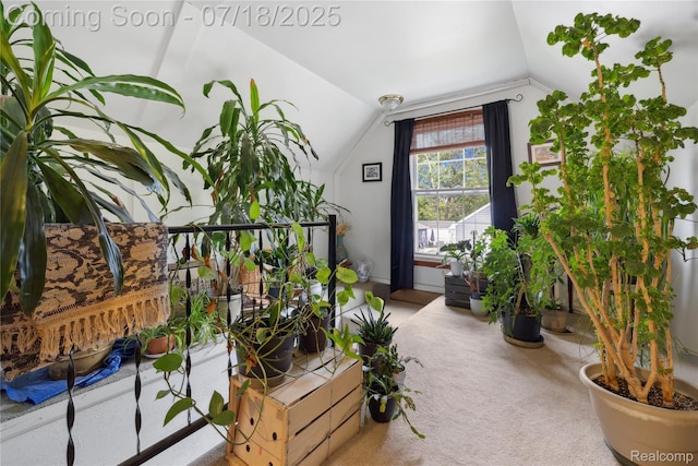 28589 Everett St, Southfield, MI 48076 - view of balcony