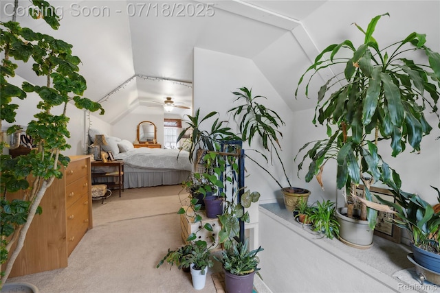 28589 Everett St, Southfield, MI 48076 - bedroom with vaulted ceiling and light carpet