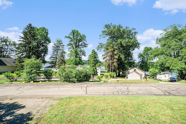15645 Rich Ln, Hickory Corners, MI 49060 - view of green lawn