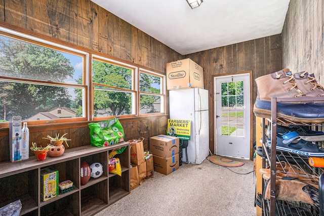15645 Rich Ln, Hickory Corners, MI 49060 - view of storage room