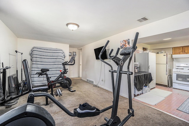 15645 Rich Ln, Hickory Corners, MI 49060 - exercise room featuring light carpet