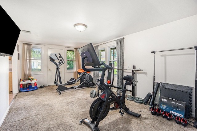 15645 Rich Ln, Hickory Corners, MI 49060 - exercise area with carpet