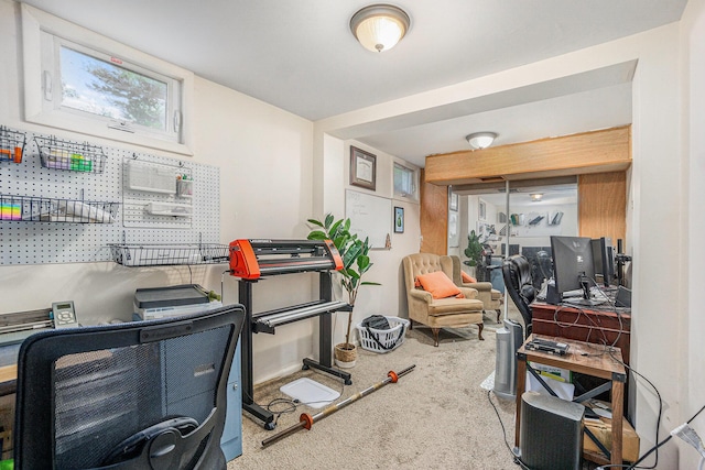 15645 Rich Ln, Hickory Corners, MI 49060 - view of carpeted home office