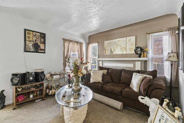 19359 Montrose St, Detroit, MI 48235 - carpeted living area featuring plenty of natural light and a textured ceiling