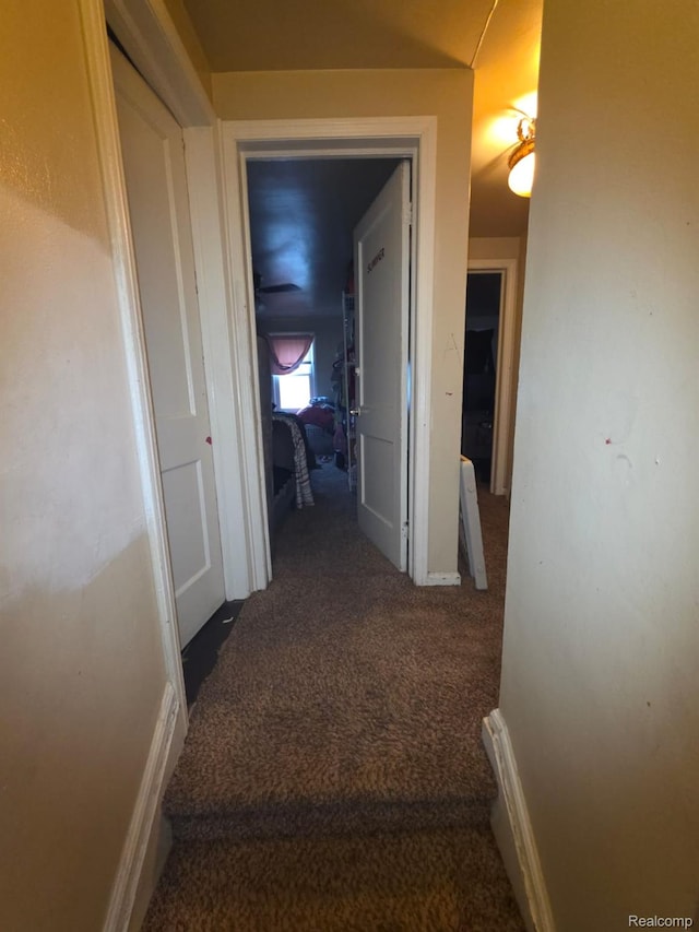 20460 Appoline St, Detroit, MI 48235 - hallway with dark colored carpet