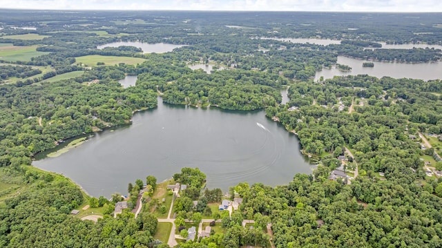 263 Westshore Dr, Jerome, MI 49249 - aerial view of a large body of water and a heavily wooded area