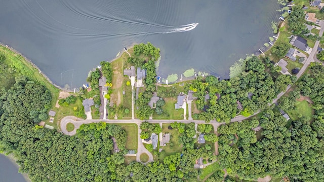 263 Westshore Dr, Jerome, MI 49249 - view of property location