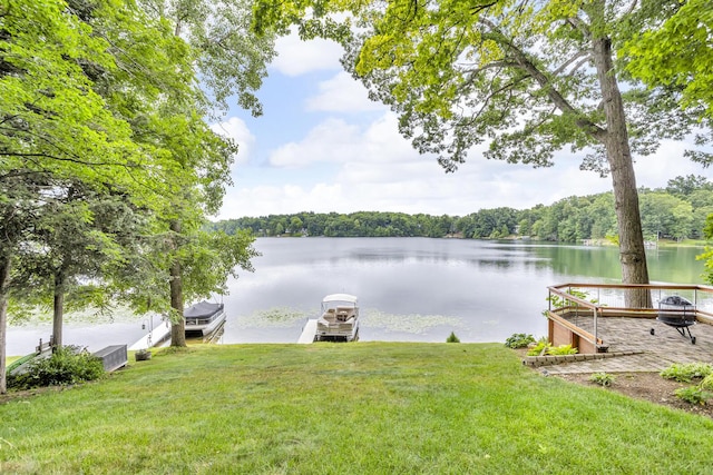 263 Westshore Dr, Jerome, MI 49249 - view of green lawn with a water view, a boat dock, and a wooded view