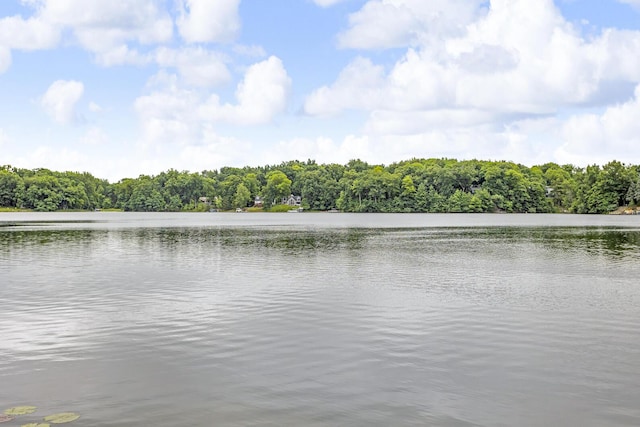 263 Westshore Dr, Jerome, MI 49249 - water view featuring a heavily wooded area