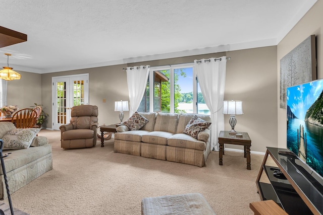 263 Westshore Dr, Jerome, MI 49249 - living room with carpet flooring and french doors