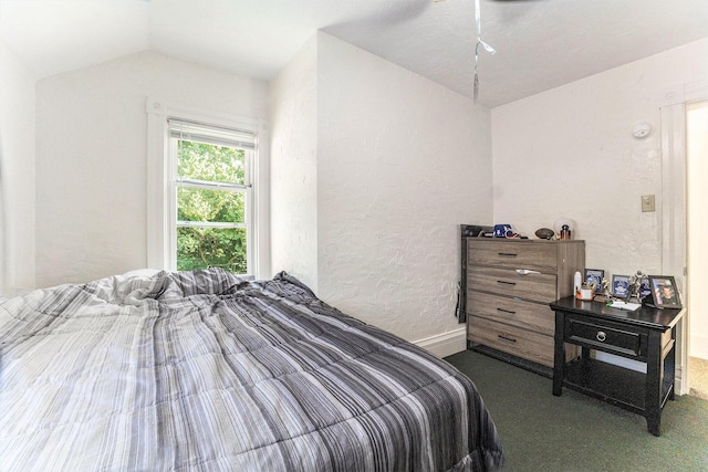 617 E Thorn St, Hastings, MI 49058 - bedroom with carpet floors, a textured wall, and vaulted ceiling