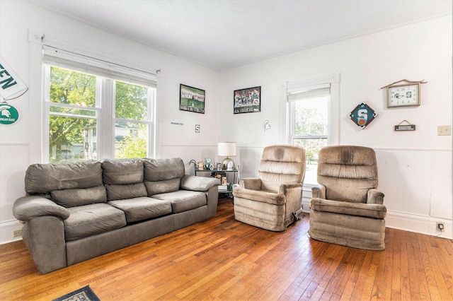 617 E Thorn St, Hastings, MI 49058 - living area featuring wood-type flooring and healthy amount of natural light