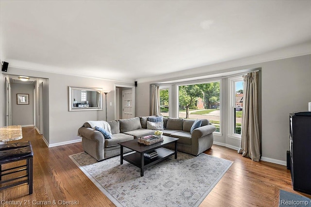 4151 Seminole Dr, Royal Oak, MI 48073 - living room featuring dark wood-type flooring