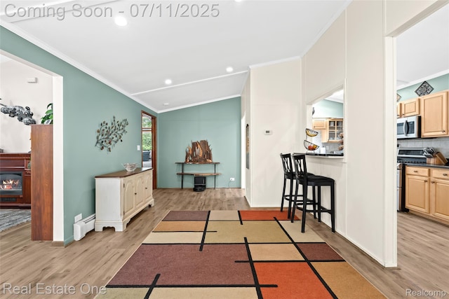 4217 Link Ave, Brighton, MI 48114 - interior space featuring ornamental molding, light wood-style floors, baseboard heating, lofted ceiling, and recessed lighting