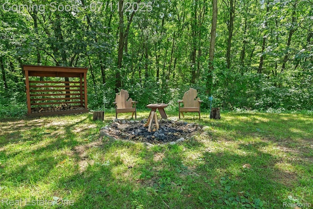 4217 Link Ave, Brighton, MI 48114 - view of yard