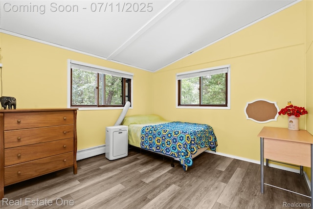 4217 Link Ave, Brighton, MI 48114 - bedroom with vaulted ceiling, a baseboard radiator, and wood finished floors