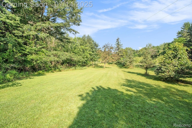1400 Hoskins Dr, Howell, MI 48855 - photo 21