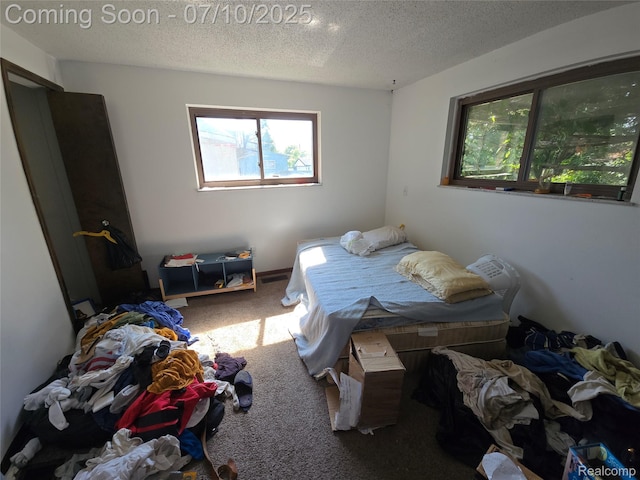 46 Michigan St, Mount Clemens, MI 48043 - bedroom with carpet flooring, multiple windows, and a textured ceiling