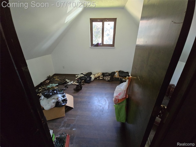 46 Michigan St, Mount Clemens, MI 48043 - bonus room featuring lofted ceiling and wood finished floors