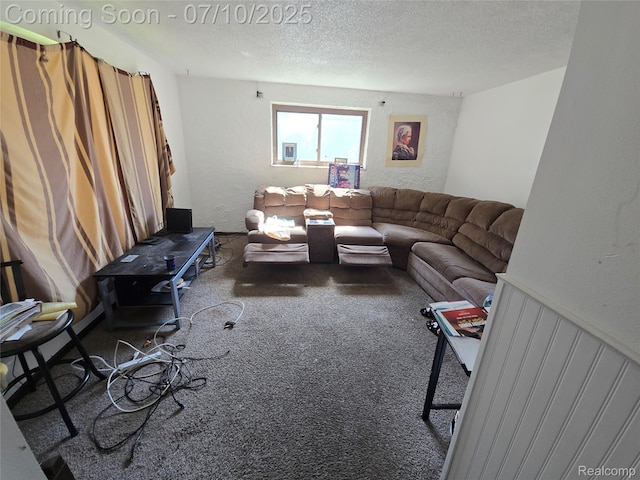 46 Michigan St, Mount Clemens, MI 48043 - living room featuring carpet floors, a textured ceiling, and a textured wall