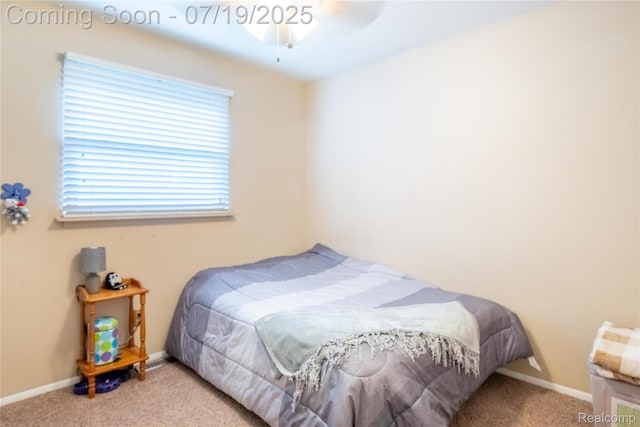 13915 Grandpoint Dr, Cement City, MI 49233 - photo 17