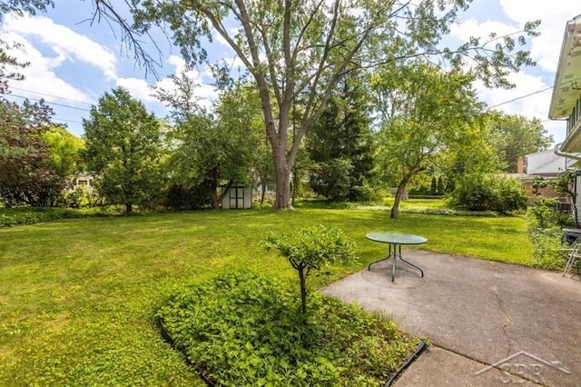 595 Stoneham Rd, Saginaw, MI 48638 - view of green lawn with a storage shed, a patio area, and view of scattered trees