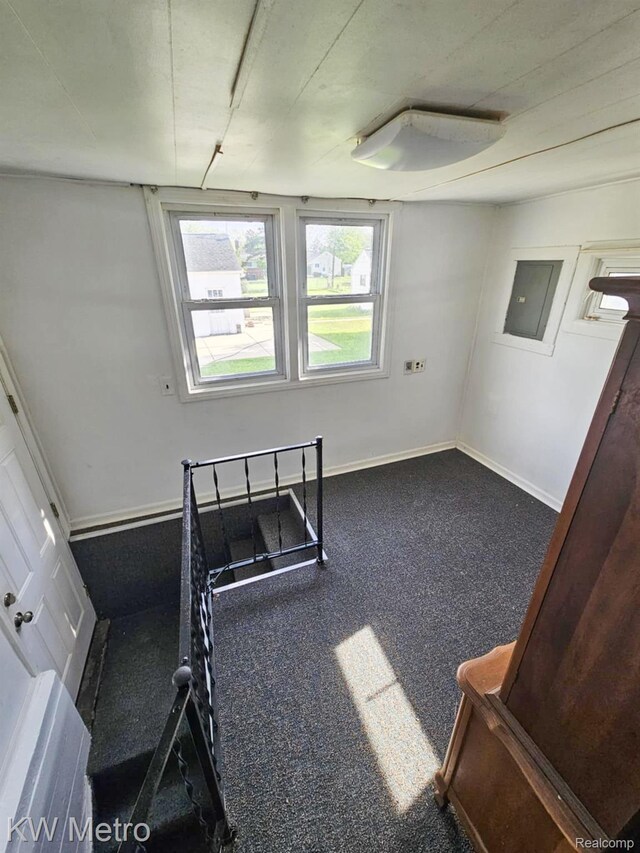 4010 Stolzenfeld Ave, Warren, MI 48091 - workout area with carpet flooring and electric panel