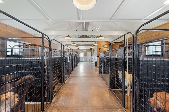 15337 Pardee Rd, Galien, MI 49113 - view of horse barn