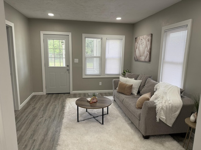 1008 Cooper Ave, Kalamazoo, MI 49048 - living room with wood finished floors, recessed lighting, and a textured ceiling