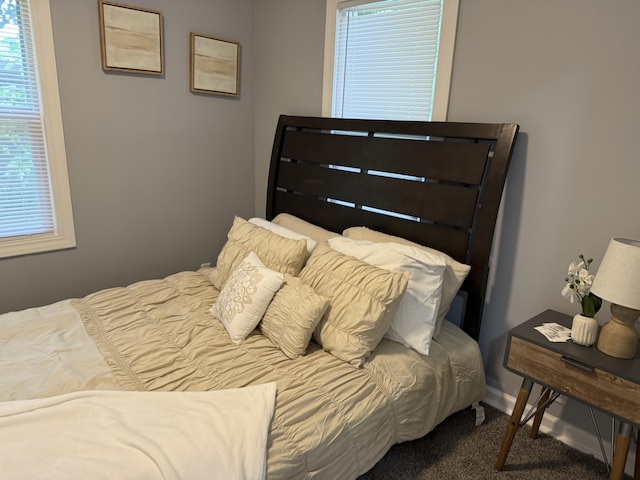 1008 Cooper Ave, Kalamazoo, MI 49048 - carpeted bedroom featuring multiple windows