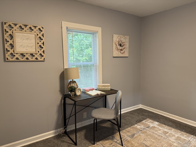 1008 Cooper Ave, Kalamazoo, MI 49048 - office space with dark colored carpet and baseboards