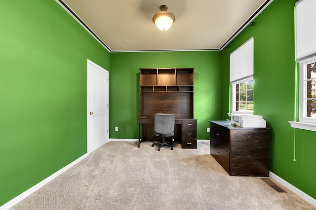 5196 Mesa Dr, Michigan, MI 48316 - office with carpet and crown molding