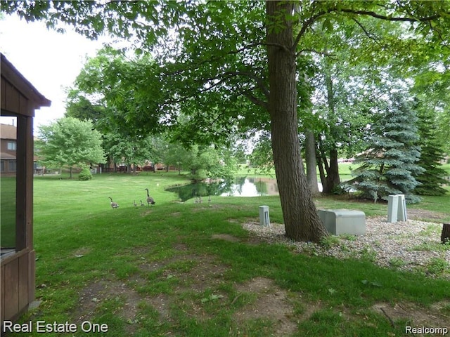25748 Lexington Dr Unit 5, South Lyon, MI 48178 - view of grassy yard featuring a water view
