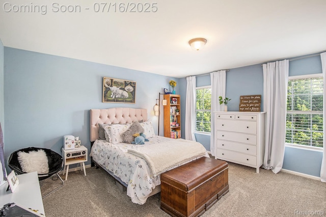 4190 Derry Ct, Oakland, MI 48306 - bedroom featuring multiple windows and carpet floors