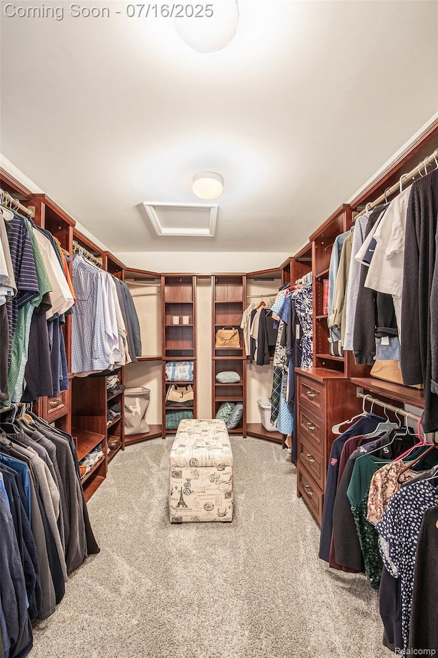 4190 Derry Ct, Oakland, MI 48306 - spacious closet with attic access and carpet flooring