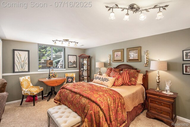 4190 Derry Ct, Oakland, MI 48306 - bedroom featuring light carpet and rail lighting