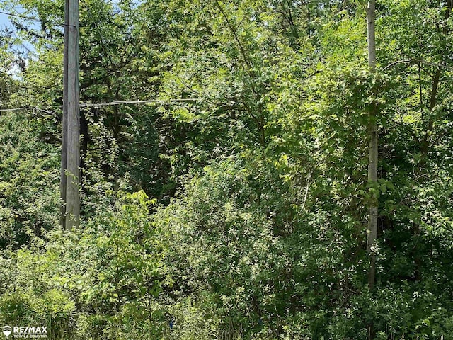 0 River Rd, Flushing, MI 48433