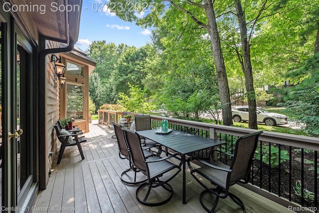 43484 Scenic Ln, Northville, MI 48167 - photo 51